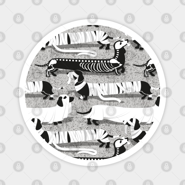 Spooktacular long dachshunds // pattern // light grey background mummy ghost and skeleton dogs Magnet by SelmaCardoso